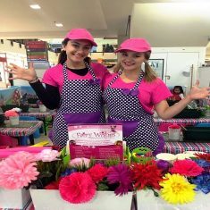 rsz_activations_and_promotions_fairy_wishes s