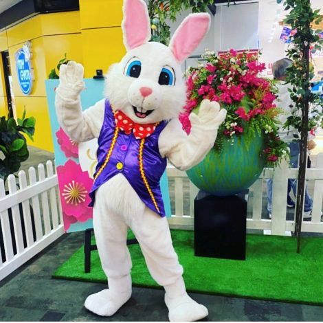 easter bunny hire sydney fairy wishes