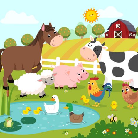 Farm Yard friends school holiday workshops fairy wishes Farm Yard friends school holiday workshops fairy wishes