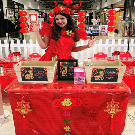 lunar chinese new year craft workshops sydney